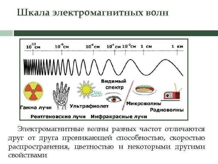 Шкала электромагнитных волн Электромагнитные волны разных частот отличаются друг от друга проникающей способностью, скоростью