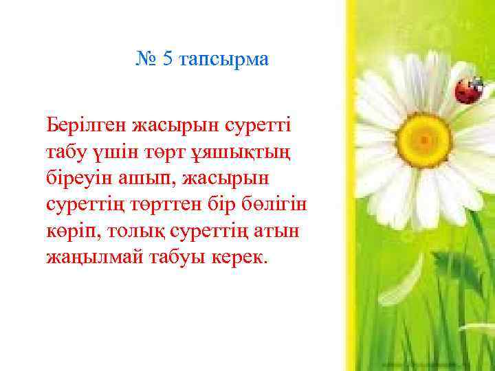 № 5 тапсырма Берілген жасырын суретті табу үшін төрт ұяшықтың біреуін ашып, жасырын суреттің
