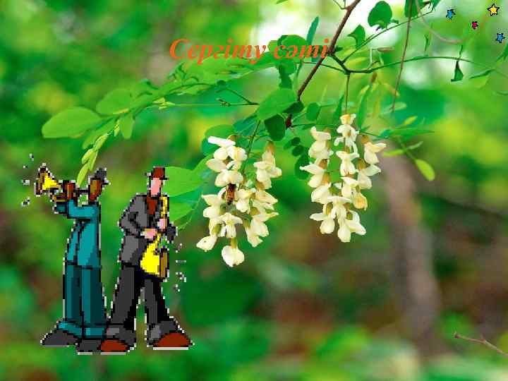 Сергіту сәті 