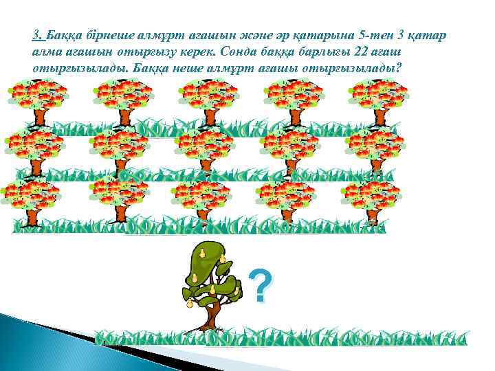 3. Баққа бірнеше алмұрт ағашын және әр қатарына 5 -тен 3 қатар алма ағашын