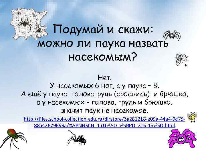 Подумай и скажи: можно ли паука назвать насекомым? Нет. У насекомых 6 ног, а