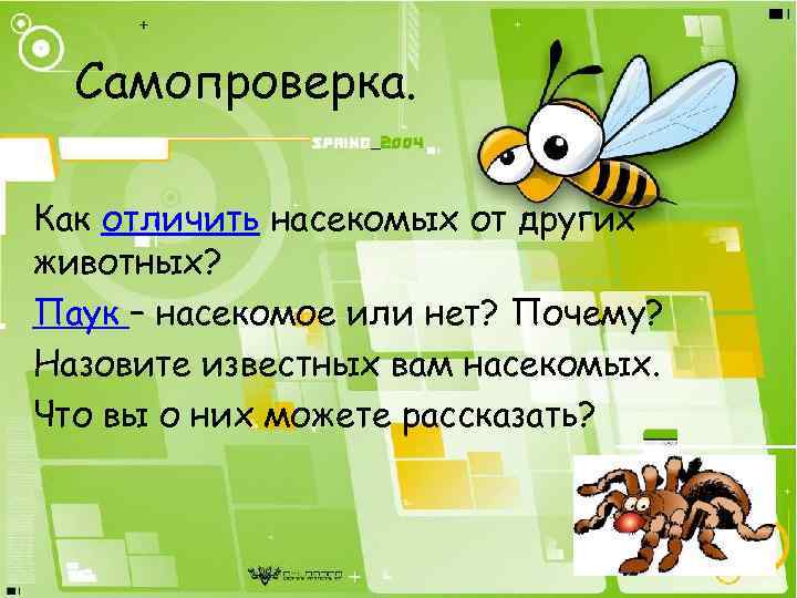 Самопроверка. Как отличить насекомых от других животных? Паук – насекомое или нет? Почему? Назовите