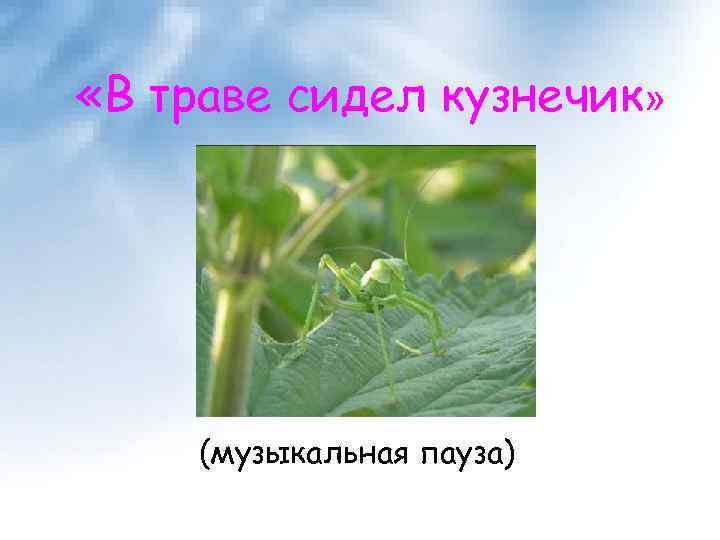  «В траве сидел кузнечик» (музыкальная пауза) 