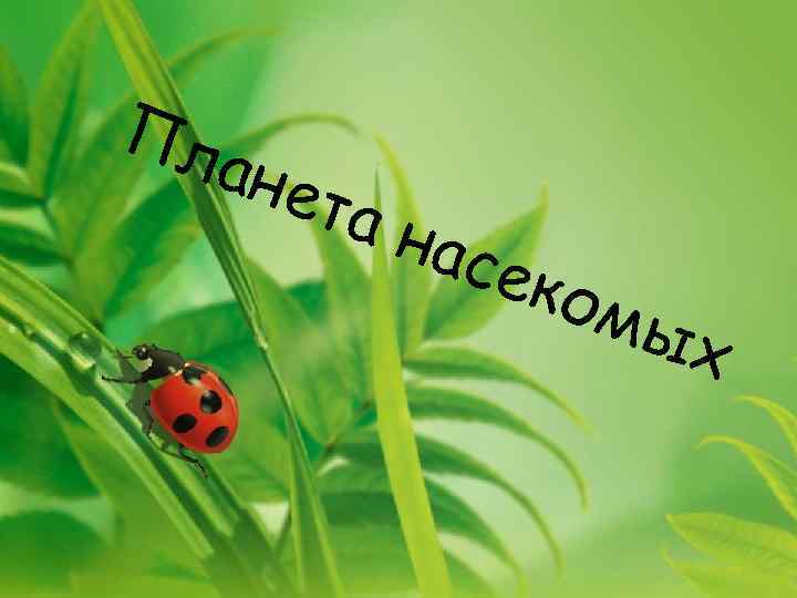 Пл ан ета нас еко мы х 