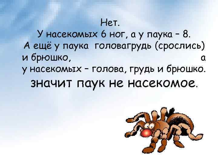 Раз е. Почему у паука 8 ног. У пауков 6 ног. Почему у насекомых 6 ног. Почему у насекомых 6 ног а у паука 8.