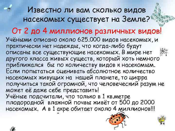 Известно ли вам сколько видов насекомых существует на Земле? От 2 до 4 миллионов