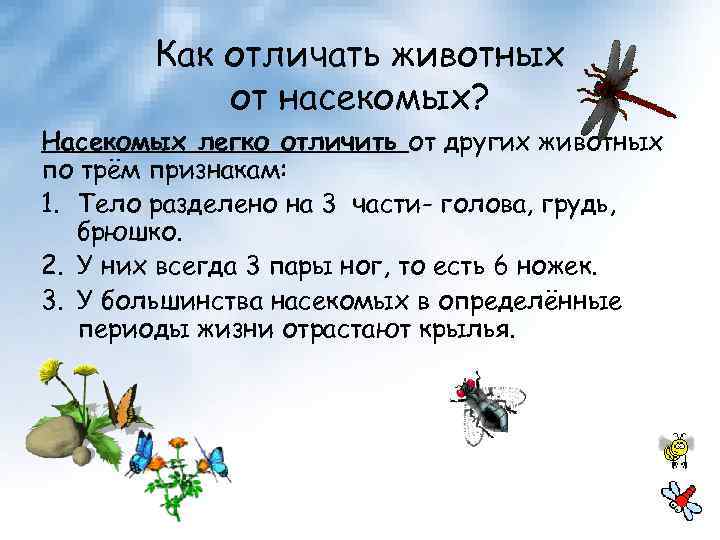 Как отличать животных от насекомых? Насекомых легко отличить от других животных по трём признакам: