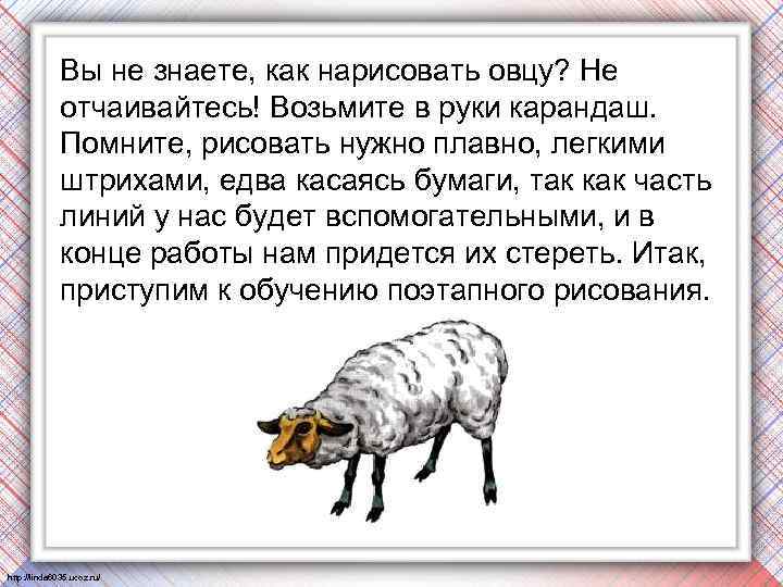 Вы не знаете, как нарисовать овцу? Не отчаивайтесь! Возьмите в руки карандаш. Помните, рисовать