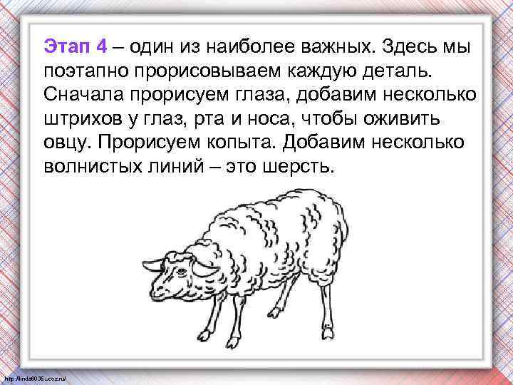 Этап 4 – один из наиболее важных. Здесь мы поэтапно прорисовываем каждую деталь. Сначала