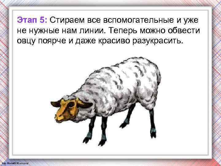 Этап 5: Стираем все вспомогательные и уже не нужные нам линии. Теперь можно обвести