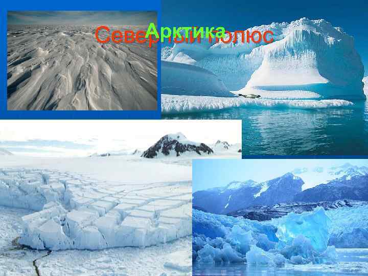 Арктика Северный полюс 