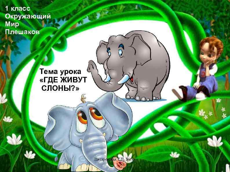 1 класс Окружающий Мир Плешаков Тема урока «ГДЕ ЖИВУТ СЛОНЫ? » Писаревская Т. П.