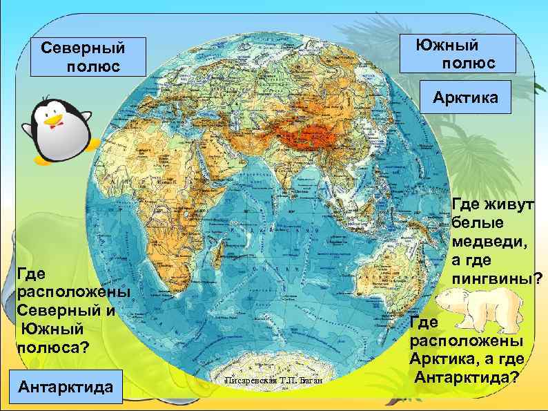 Южный полюс Северный полюс Арктика Где живут белые медведи, а где пингвины? Где расположены