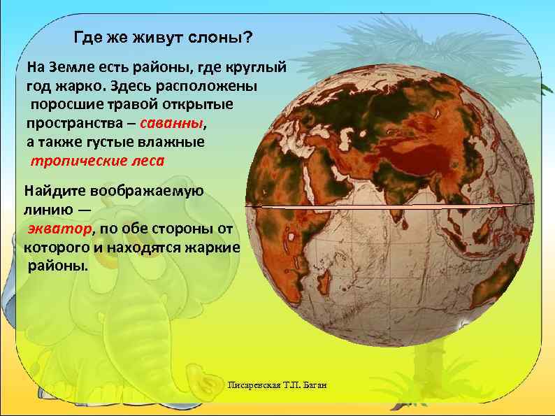 Где же живут слоны? На Земле есть районы, где круглый год жарко. Здесь расположены