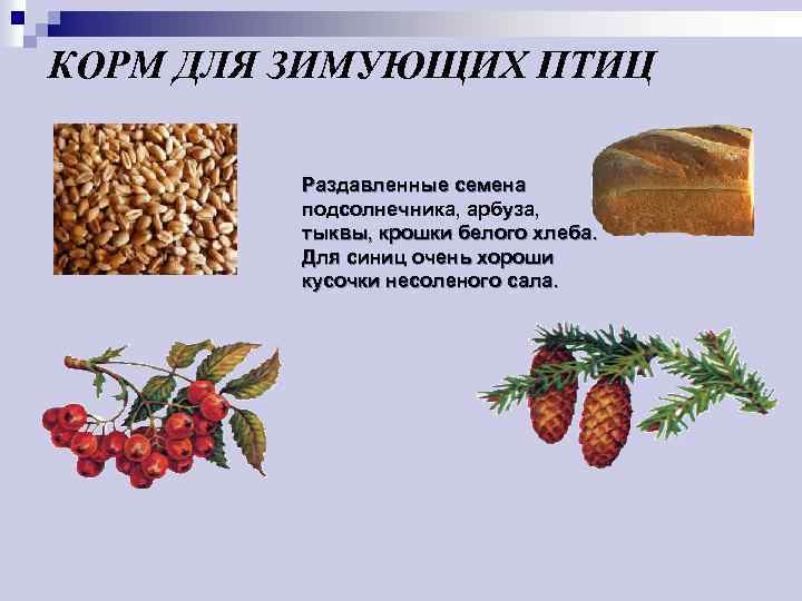 КОРМ ДЛЯ ЗИМУЮЩИХ ПТИЦ Раздавленные семена подсолнечника, арбуза, тыквы, крошки белого хлеба. Для синиц