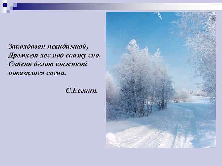 Заколдован невидимкой, Дремлет лес под сказку сна. Словно белою косынкой повязалася сосна. С. Есенин.