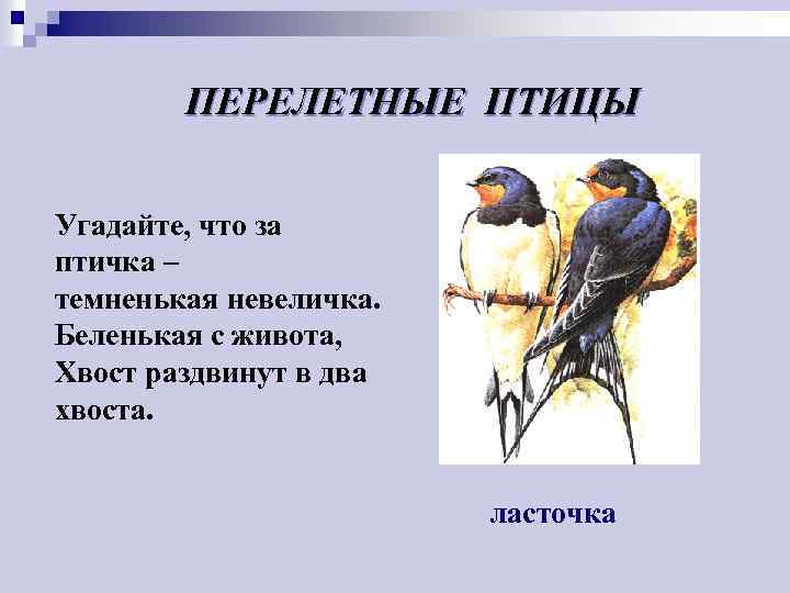 ПЕРЕЛЕТНЫЕ ПТИЦЫ Угадайте, что за птичка – темненькая невеличка. Беленькая с живота, Хвост раздвинут