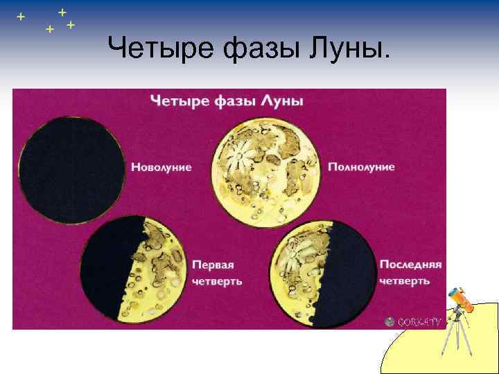 Четыре фазы Луны. 