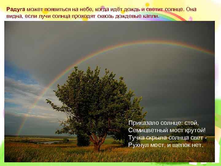 Радуга может появиться на небе, когда идёт дождь и светит солнце. Она видна, если