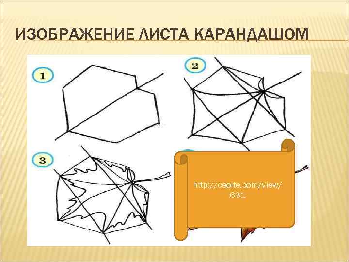 ИЗОБРАЖЕНИЕ ЛИСТА КАРАНДАШОМ http: //ceolte. com/view/ 631 