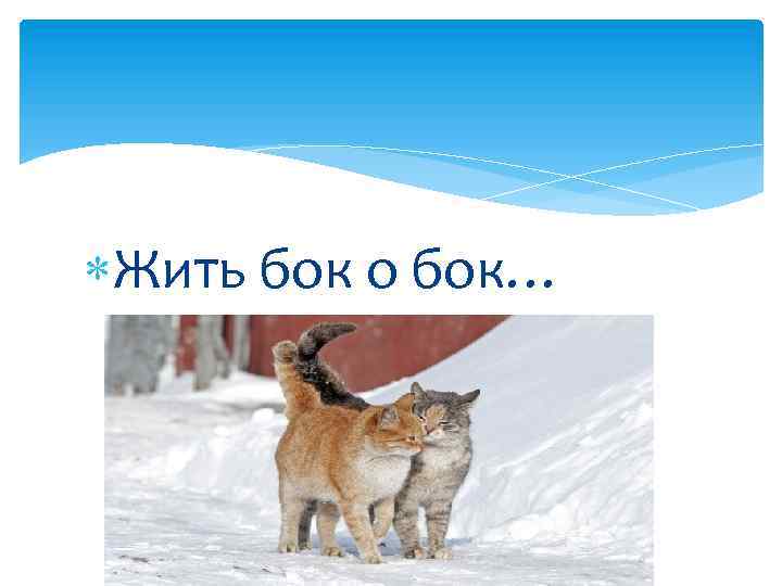  Жить бок о бок… 