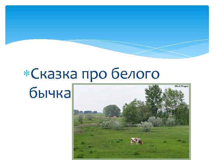  Сказка про белого бычка 