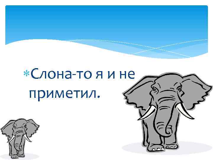 Слона то я и не приметил. Слона не приметил. Слона я и не приметил. Поговорка слона то я и не приметил. Слона то я и не приметил значение фразеологизма.