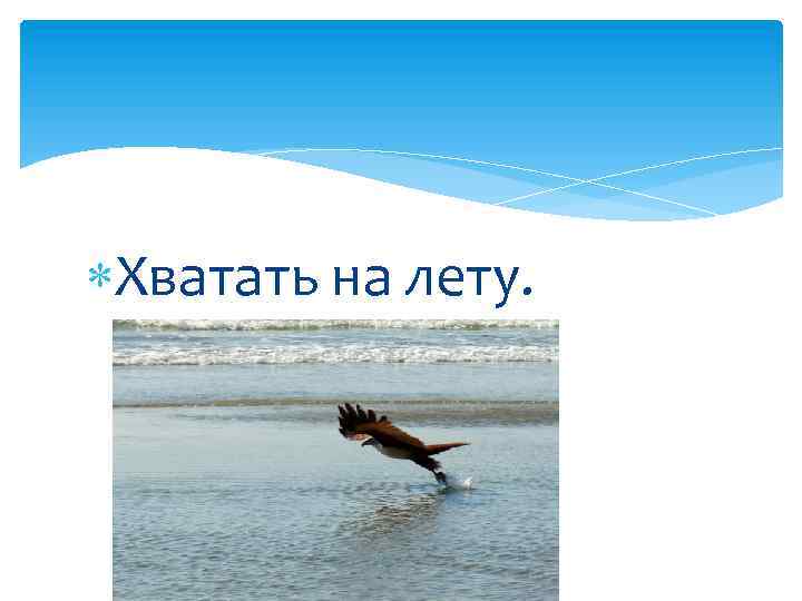  Хватать на лету. 