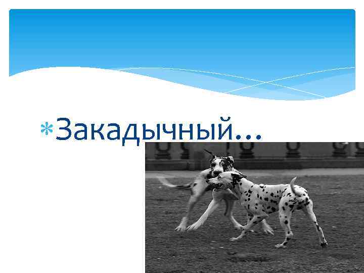  Закадычный… 