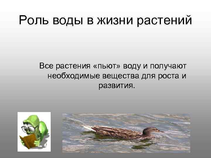 Роль воды в жизни растений Все растения «пьют» воду и получают необходимые вещества для