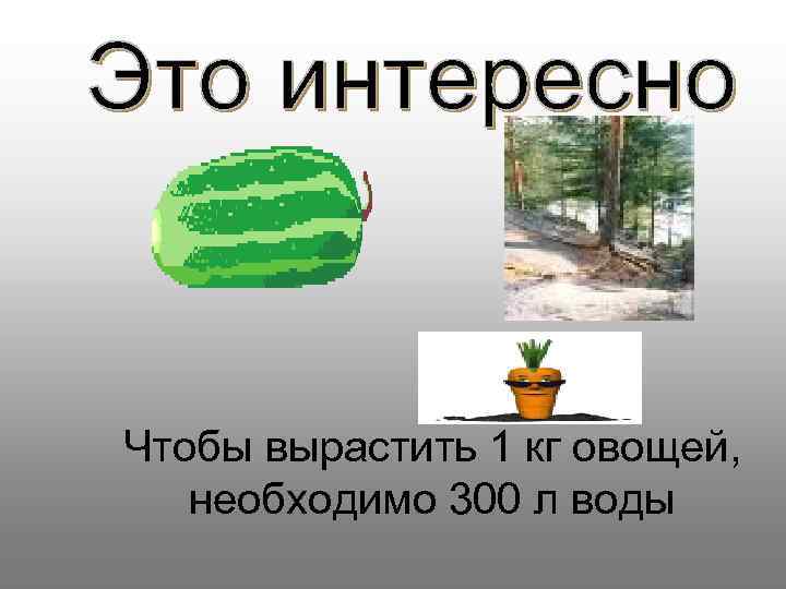 Чтобы вырастить 1 кг овощей, необходимо 300 л воды 