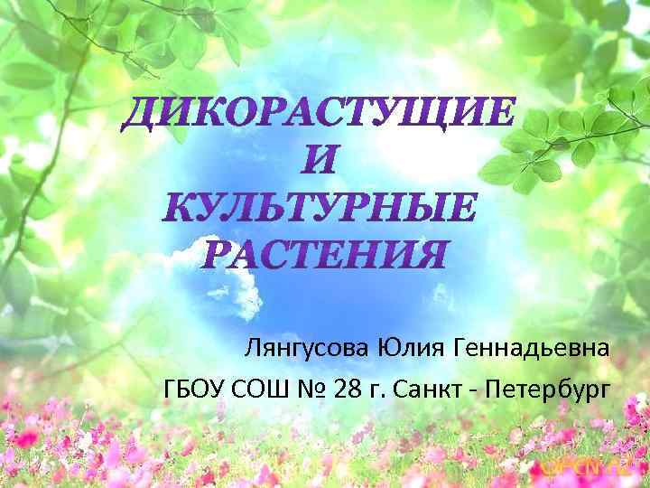 Лянгусова Юлия Геннадьевна ГБОУ СОШ № 28 г. Санкт - Петербург 