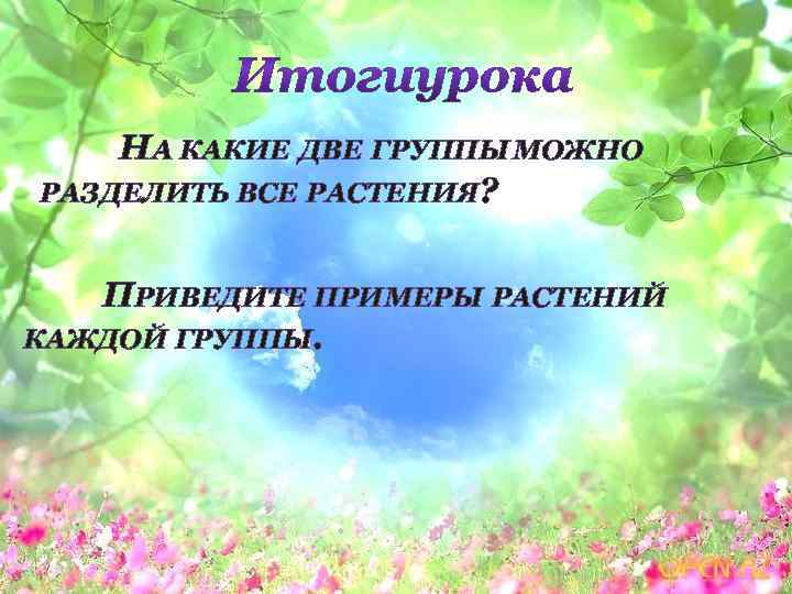 НА КАКИЕ ДВЕ ГРУППЫ МОЖНО РАЗДЕЛИТЬ ВСЕ РАСТЕНИЯ? ПРИВЕДИТЕ ПРИМЕРЫ РАСТЕНИЙ КАЖДОЙ ГРУППЫ. 