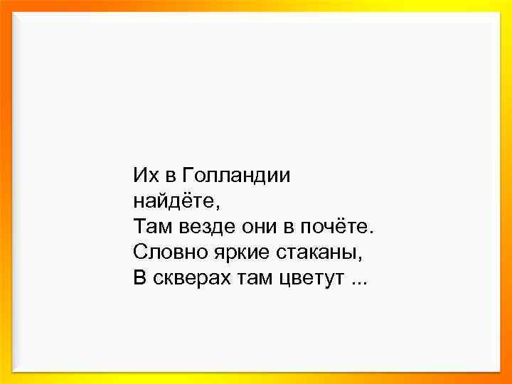 Их в Голландии найдёте, Там везде они в почёте. Словно яркие стаканы, В скверах