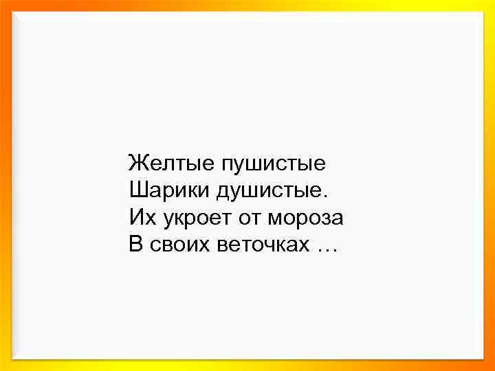 Желтые пушистые Шарики душистые. Их укроет от мороза В своих веточках … 