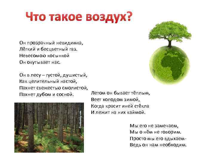 Что такое воздух? Он прозрачный невидимка, Лёгкий и бесцветный газ. Невесомою косынкой Он окутывает