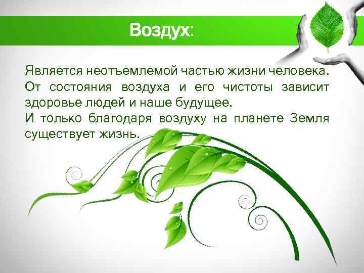 Воздух: Является неотъемлемой частью жизни человека. От состояния воздуха и его чистоты зависит здоровье