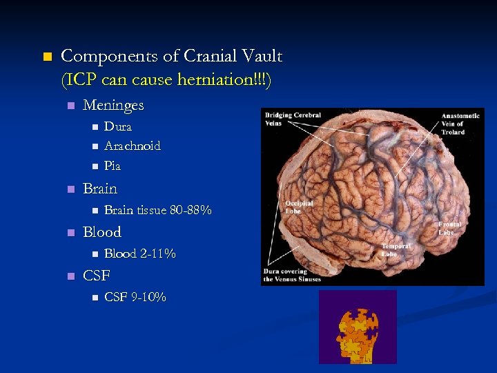 n Components of Cranial Vault (ICP can cause herniation!!!) n Meninges n n Brain