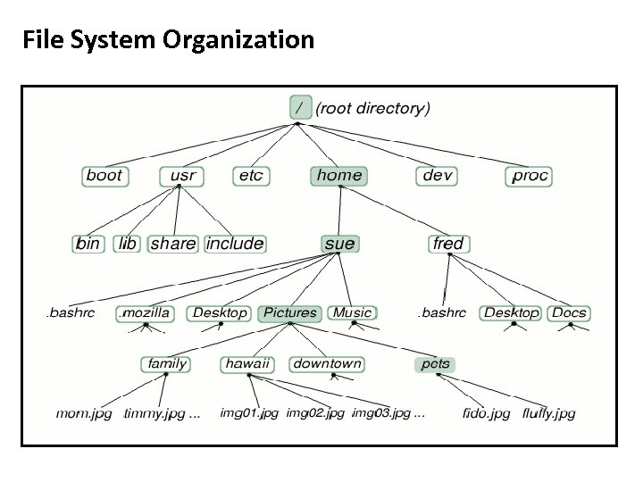 File System Organization 