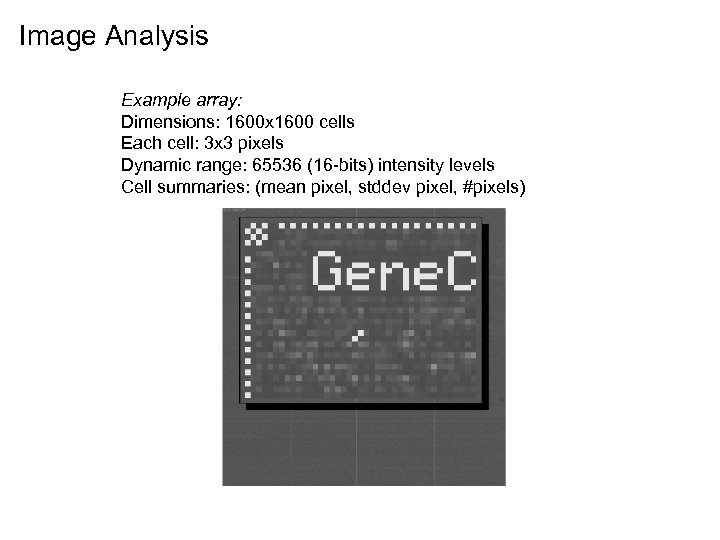 Image Analysis Example array: Dimensions: 1600 x 1600 cells Each cell: 3 x 3