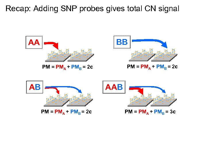 Recap: Adding SNP probes gives total CN signal BB AA ** * PM =