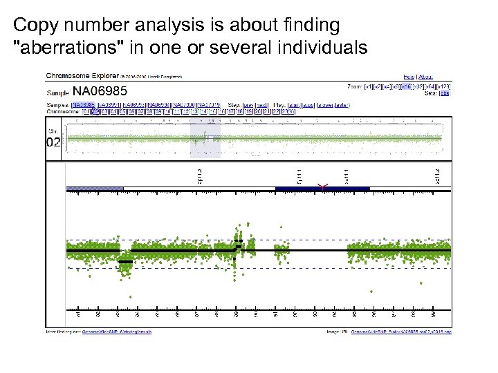 Copy number analysis is about finding "aberrations" in one or several individuals 