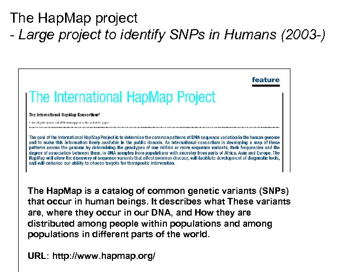 The Hap. Map project - Large project to identify SNPs in Humans (2003 -)