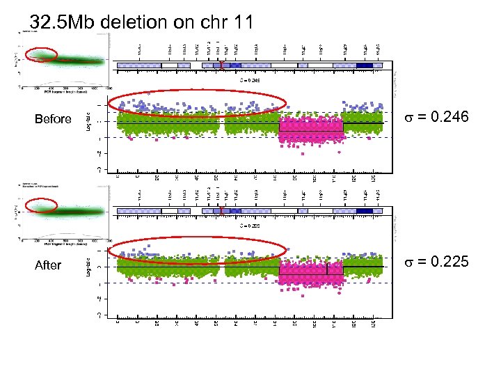 32. 5 Mb deletion on chr 11 Before = 0. 246 After = 0.