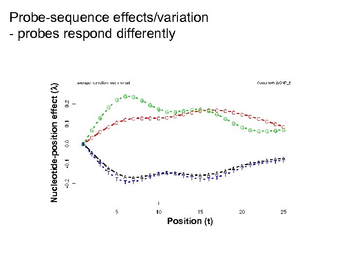 Nucleotide-position effect ( ) Probe-sequence effects/variation - probes respond differently Position (t) 