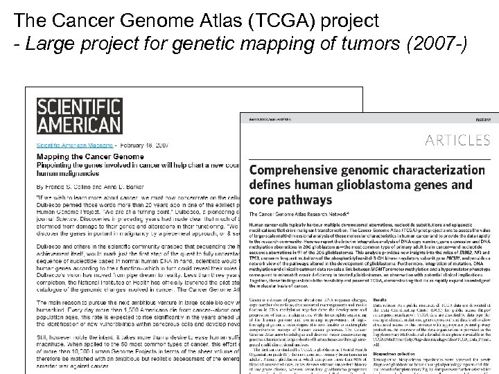 The Cancer Genome Atlas (TCGA) project - Large project for genetic mapping of tumors