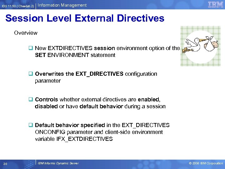 IDS 11. 50 ( Cheetah 2) Information Management Session Level External Directives Overview q