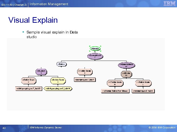 IDS 11. 50 ( Cheetah 2) Information Management Visual Explain § Sample visual explain