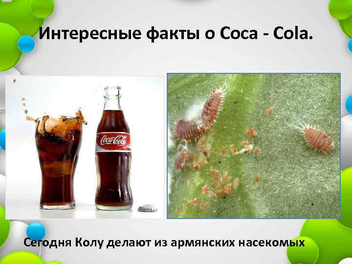 Интересные факты о Coca - Cola. Сегодня Колу делают из армянских насекомых 