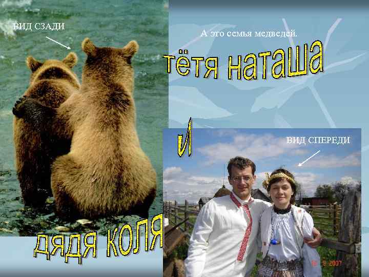 ВИД СЗАДИ А это семья медведей. ВИД СПЕРЕДИ 